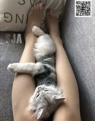 国产三级片在线_BD高清在线