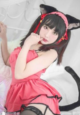 国产van车有哪些_DVD手机免费观看完整